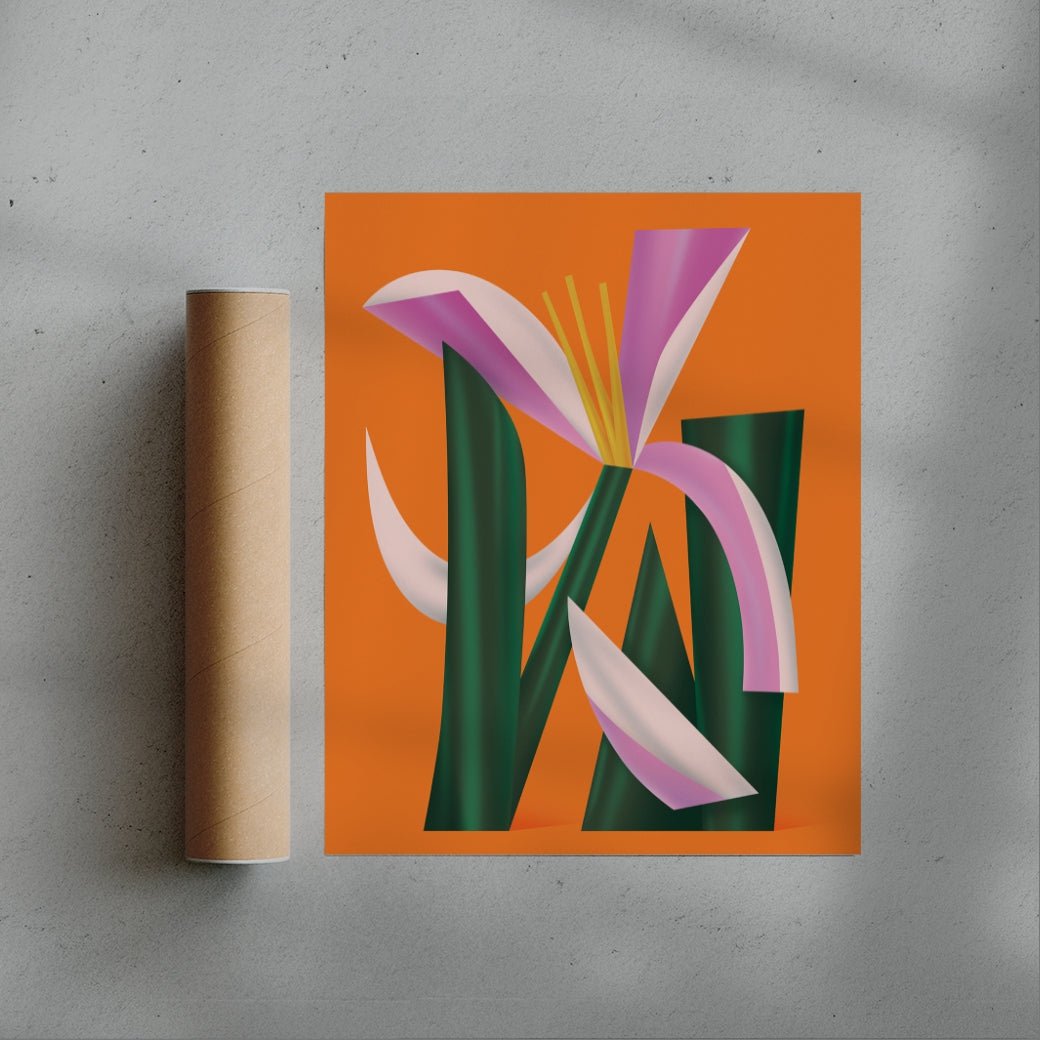 Lilium